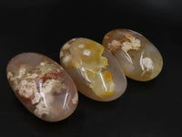 Polished Coral Flower Agate Gallets x 12 From Antsirabe, Madagascar - TopRock
