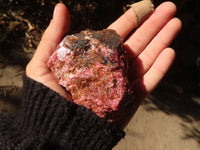 Natural Rough Red Rhodonite Specimens x 6 From Zimbabwe