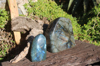 Polished Small Blue Labradorite Standing Free Forms  x 2 From Madagascar - TopRock
