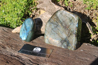 Polished Small Blue Labradorite Standing Free Forms  x 2 From Madagascar - TopRock