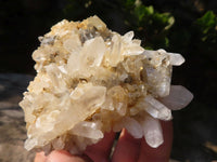 Natural Small Mixed Quartz Clusters  x 12 From Madagascar - Toprock Gemstones and Minerals 