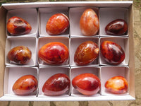 Polished Deep Red Carnelian Agate Eggs x 12 From Madagascar - TopRock