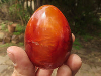 Polished Deep Red Carnelian Agate Eggs x 12 From Madagascar - TopRock