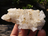 Natural Small Mixed Quartz Clusters  x 12 From Madagascar - Toprock Gemstones and Minerals 