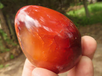 Polished Deep Red Carnelian Agate Eggs x 12 From Madagascar - TopRock