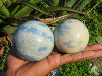 Polished Blue Spotted Spinel Spheres x 6 From Madagascar - TopRock