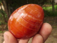 Polished Deep Red Carnelian Agate Eggs x 12 From Madagascar - TopRock