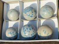 Polished Blue Spotted Spinel Spheres x 6 From Madagascar - TopRock