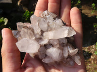 Natural Small Mixed Quartz Clusters  x 12 From Madagascar - Toprock Gemstones and Minerals 