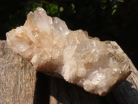 Natural Small Mixed Quartz Clusters  x 12 From Madagascar - Toprock Gemstones and Minerals 