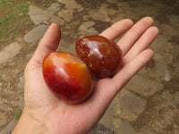 Polished Deep Red Carnelian Agate Eggs x 12 From Madagascar - TopRock