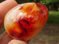 Polished Deep Red Carnelian Agate Eggs x 12 From Madagascar - TopRock