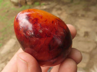 Polished Deep Red Carnelian Agate Eggs x 12 From Madagascar - TopRock