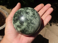 Polished Leopard Stone Spheres  x 2 From Zimbabwe - TopRock