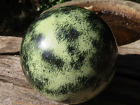 Polished Leopard Stone Spheres  x 2 From Zimbabwe - TopRock