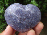 Polished Purple Lepidolite Hearts  x 6 From Madagascar - TopRock