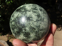 Polished Leopard Stone Spheres  x 2 From Zimbabwe - TopRock