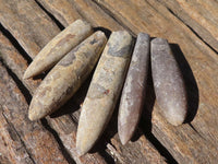 Natural Belemnite Fossil Specimens x 71 From Madagascar