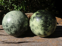 Polished Leopard Stone Spheres  x 2 From Zimbabwe - TopRock