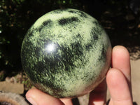 Polished Leopard Stone Spheres  x 2 From Zimbabwe - TopRock