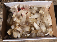 Natural Clear Smokey Quartz Crystals  x 4.9 Kg Lot  From Zimbabwe - Toprock Gemstones and Minerals 