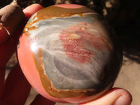 Polished Polychrome / Picasso Jasper Palm Stones  x 6 From Madagascar