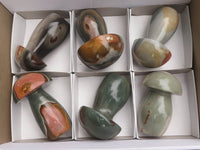 Polished Polychrome / Picasso Jasper Mushrooms x 6 From Madagascar - TopRock