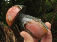 Polished Polychrome / Picasso Jasper Mushrooms x 6 From Madagascar - TopRock