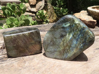 Polished Flashy Labradorite Standing Free Forms  x 2 From Tulear, Madagascar - TopRock