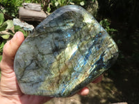 Polished Flashy Labradorite Standing Free Forms  x 2 From Tulear, Madagascar - TopRock