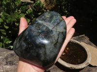 Polished Flashy Labradorite Standing Free Forms  x 2 From Tulear, Madagascar - TopRock