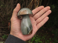 Polished Polychrome / Picasso Jasper Mushrooms x 6 From Madagascar - TopRock