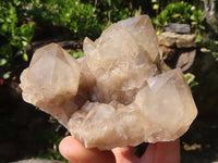 Natural Smokey White Phantom Quartz Clusters  x 6 From Luena, Congo - Toprock Gemstones and Minerals 