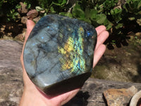 Polished Flashy Labradorite Standing Free Forms  x 2 From Tulear, Madagascar - TopRock