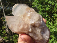 Natural Smokey White Phantom Quartz Clusters  x 6 From Luena, Congo - Toprock Gemstones and Minerals 