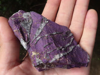 Natural Selected Rough Purpurite Specimens  x 6 From Erongo, Namibia - TopRock