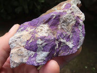 Natural Selected Rough Purpurite Specimens  x 6 From Erongo, Namibia - TopRock