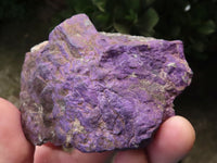 Natural Selected Rough Purpurite Specimens  x 6 From Erongo, Namibia - TopRock