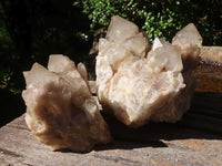 Natural Cascading Smokey Phantom Quartz Clusters x 2 From Luena, Congo - TopRock