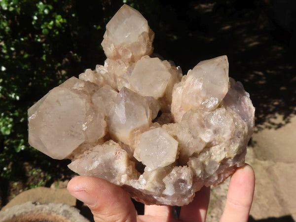 Natural Cascading Smokey Phantom Quartz Clusters x 2 From Luena, Congo - TopRock