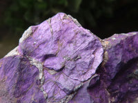 Natural Selected Rough Purpurite Specimens  x 6 From Erongo, Namibia - TopRock