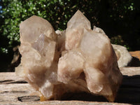 Natural Cascading Smokey Phantom Quartz Clusters x 2 From Luena, Congo - TopRock