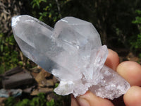 Natural Single Clear Quartz Crystals  x 35 From Mpika, Zambia - Toprock Gemstones and Minerals 