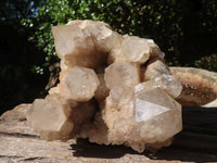 Natural Cascading Smokey Phantom Quartz Clusters x 2 From Luena, Congo - TopRock