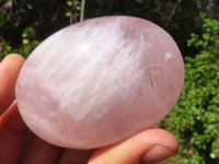 Polished Gemmy Pink Rose Quartz Palm Stones  x 8 From Madagascar - Toprock Gemstones and Minerals 