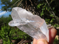 Natural Single Clear Quartz Crystals  x 35 From Mpika, Zambia - Toprock Gemstones and Minerals 