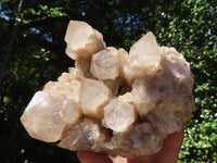 Natural Cascading Smokey Phantom Quartz Clusters x 2 From Luena, Congo - TopRock