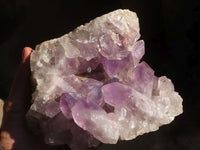 Natural Jacaranda Amethyst Cluster  x 1 From Zambia - Toprock Gemstones and Minerals 