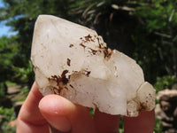 Natural Pineapple Candle Quartz Crystals x 31 From Madagascar - TopRock