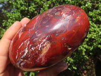 Polished Gorgeous Red Flame Jasper Standing Free Forms  x 2 From Madagascar - Toprock Gemstones and Minerals 